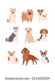 Funny Purebred Dogs collection. Vector illustration of happy cartoon diverse purebred dogs in trendy flat style. Isolated on white