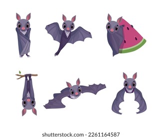 Funny Purple Bat with Cute Snout Flying with Watermelon and Hanging on Tree Branch Vector Set