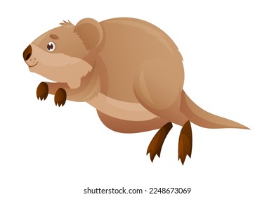 Funny Quokka as Short-tailed Scrub Wallaby with Rounded Ears Jumping Vector Illustration