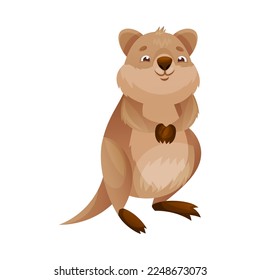 Funny Quokka as Short-tailed Scrub Wallaby with Rounded Ears Standing on Hind Legs and Smiling Vector Illustration