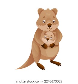 Funny Quokka as Short-tailed Scrub Wallaby with Baby Sitting in Its Pouch Vector Illustration