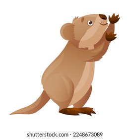 Funny Quokka as Short-tailed Scrub Wallaby with Rounded Ears Vector Illustration