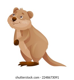 Funny Quokka as Short-tailed Scrub Wallaby with Rounded Ears Standing Vector Illustration