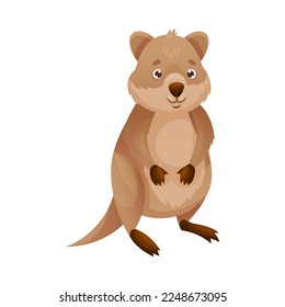 Funny Quokka as Short-tailed Scrub Wallaby with Rounded Ears Standing Vector Illustration