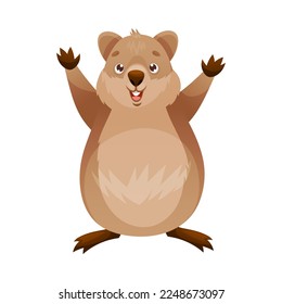 Funny Quokka as Short-tailed Scrub Wallaby with Rounded Ears Standing with Raised Paw Vector Illustration