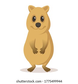 Funny quokka smiling. Colorful flat vector illustration, isolated on white background.