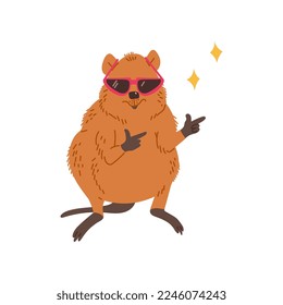 Funny quokka in Sonnenbrillen, Cartoon-Flavektor-Illustration einzeln auf weißem Hintergrund. Macropod Tier mit coolen Handgesten. Kindischer Charakter.