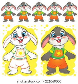 funny rabbit