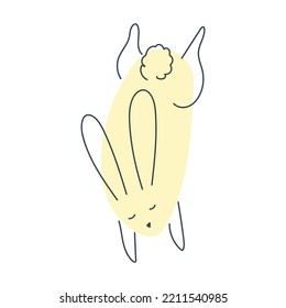 Conejo gracioso al estilo de doodle. El conejo es un símbolo del 2023. Gráficos Hare Vector aislados en fondo blanco.