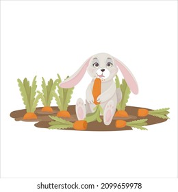 Funny Rabbit eats a carrot in a cartoon style. Hare is a farmer. Vector illustration isolated on white background.