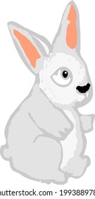 Funny Rabbit Isolated Animal Vector
