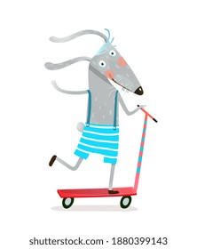 Funny rabbit skating on wheel scooter, wearing shorts. Cute animal doing sport cartoon for kids, watercolor style vector character design.