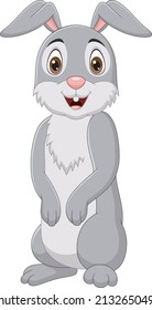Funny a rabbit standing isolated on white background