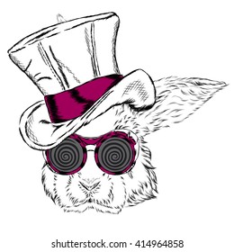 Funny rabbit in an unusual hat and sunglasses. Vector illustration.