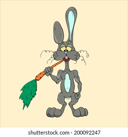 funny rabbits