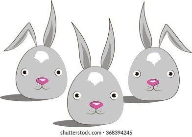 funny rabbits on the white background
