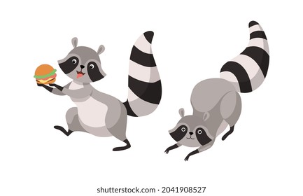 Funny Raccoon Animal Character with Striped Tail Jumping and Stealing Hamburger Vector Set