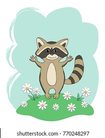 Funny raccoon and chamomiles on blue background. 