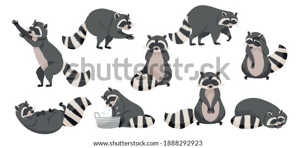 Funny Raccoon with Dexterous Front Paws and Ringed
Tail Vector Set