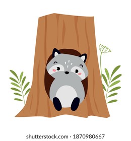 Funny Raccoon as Forest Animal Pepped Out from Tree Hollow Vector Illustration