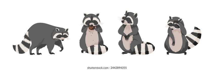 Funny Raccoon with Front Paws and Ringed Tail Vector Set