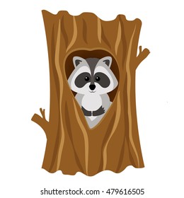 Funny raccoon inside tree in hollow, isolated on white background. Adorable vector raccoon. Cute cartoon pet. Charming baby raccoon.