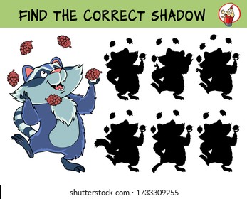 Funny raccoon juggling cones. Find the correct shadow. Educational matching game for children. Cartoon vector illustration