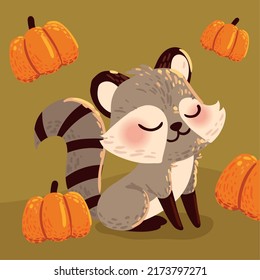 funny raccoon and pumpkins autumn season