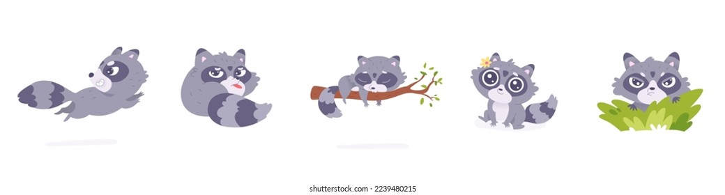 Graciosa ilustración vectorial del conjunto de mapaches. Caricatura aislada lindo zoológico o personaje de un bebé racoon forestal jugando en poses adorables, corriendo furtivamente animales y sentados en un bosque, durmiendo en una rama de árbol