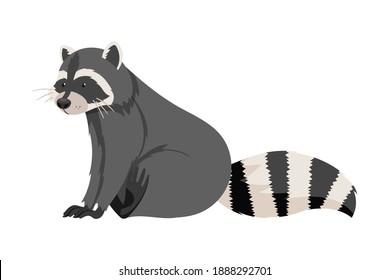 Funny Raccoon With Striped Tail In Sitting Pose Vector Illustration
