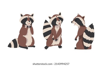 Funny Raccoon mit gestreiftem Schwanz Sitzen Vektor Set