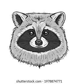 Funny Racoon Face Isolated on white.