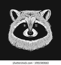 Funny Racoon Face Isolated on black.