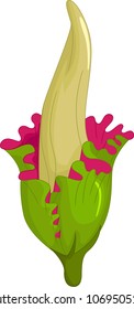funny raflesia flower cartoon