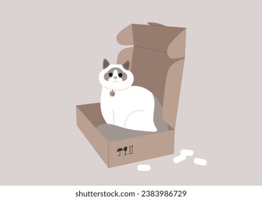 A funny ragdoll cat lounging within a cardboard package, a delivery service scenario