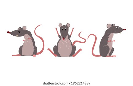 Funny Rat as Long-tailed Rodent Sitting on Hind Legs Vector Set