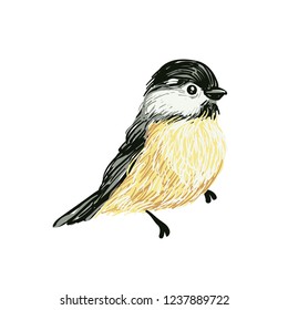Funny realistic vector Tits and bird feeder on white background. Vector Christmas image. For Christmas decoration, posters, banners, sales and other winter events