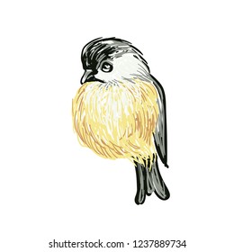 Funny realistic vector Tits and bird feeder on white background. Vector Christmas image. For Christmas decoration, posters, banners, sales and other winter events