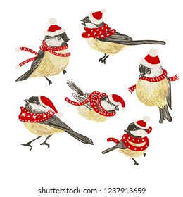 Funny realistic vector Tits and bird feeder in red hats. Cristmas hat. on white background. Vector Christmas image. For Christmas decoration, posters, banners, sales and other winter events