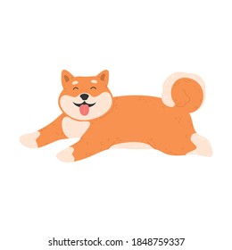 Funny red cheerful japanese akita dog lying on floor