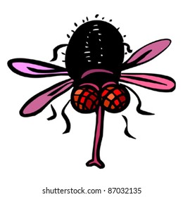 Funny red eyed fly