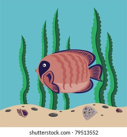 funny red fish swims in the sea