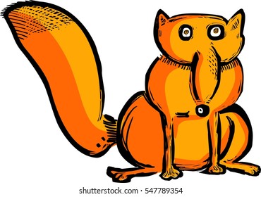 Funny red fox
