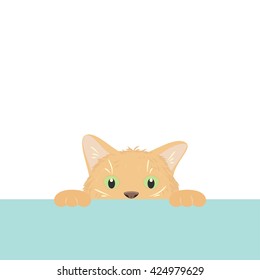 Funny red kitty hiding behind a light blue barrier and hunting the viewer, a single composition on a white background. Vector illustration.