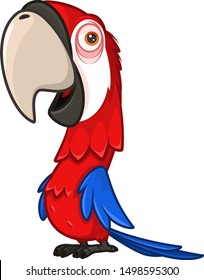 Funny red parrot with a large beak