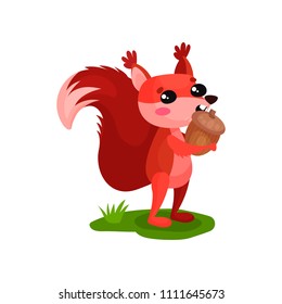 Funny red squirrel standing on green grass and eating acorn. Small wild animal with fluffy tail and tassels on ears. Flat vector design