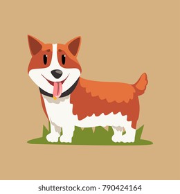 Funny red-haired welsh corgi standing on green grass. Cartoon dog with happy muzzle. Puppy with black collar. Domestic animal. Flat vector design