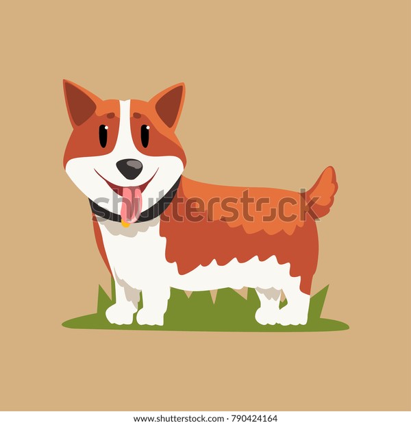 Funny Redhaired Welsh Corgi Standing On Stock Vector Royalty Free