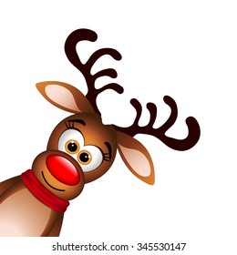 Funny Reindeer on white background.