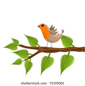 Funny robin bird on the tree branch isolated